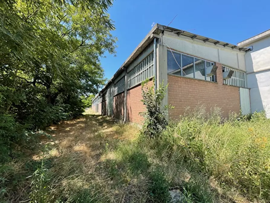 Immagine 17 di Capannone industriale in vendita  in Via Bosco 24/A a Scandiano