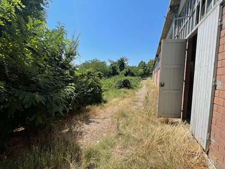 Immagine 18 di Capannone industriale in vendita  in Via Bosco 24/A a Scandiano