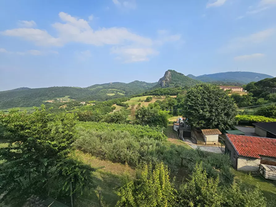 Immagine 29 di Attività commerciale in vendita  a Teolo