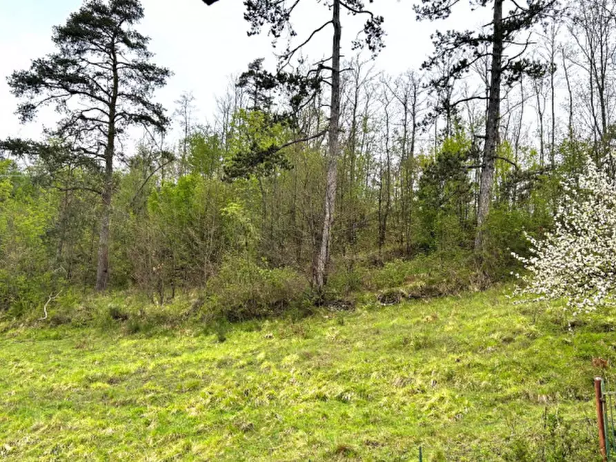Immagine 8 di Casa indipendente in vendita  in Loc. Canneto a Gorreto
