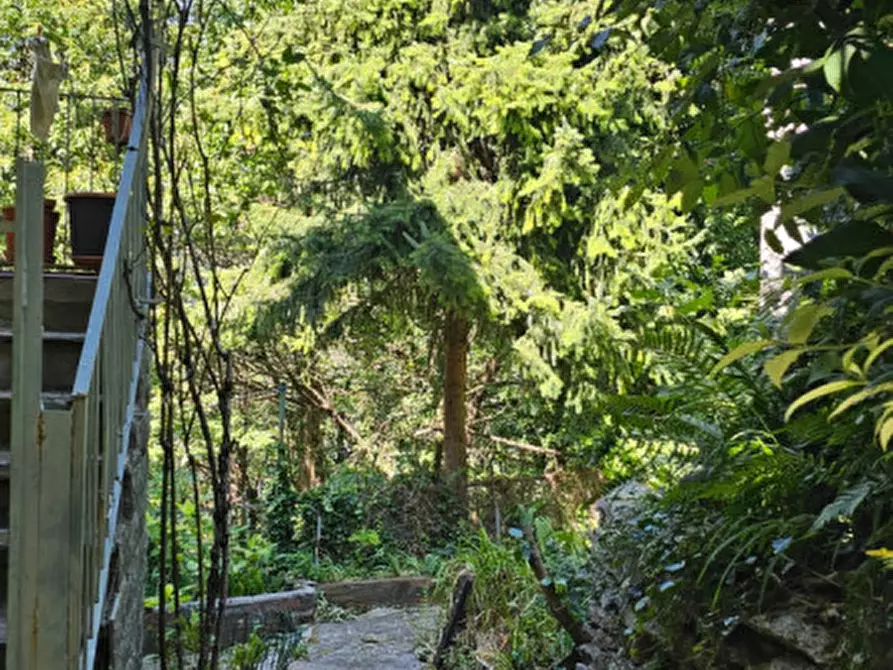 Immagine 16 di Rustico / casale in vendita  in Alpette a Alpette