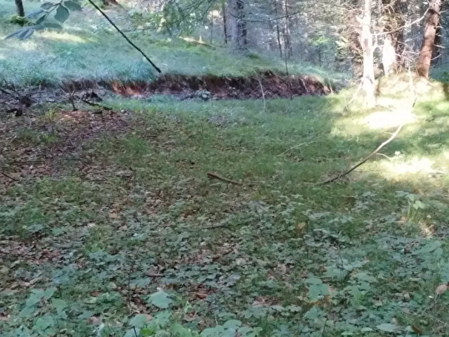 Immagine 9 di Rustico / casale in vendita  in Via Piduel a Domegge Di Cadore