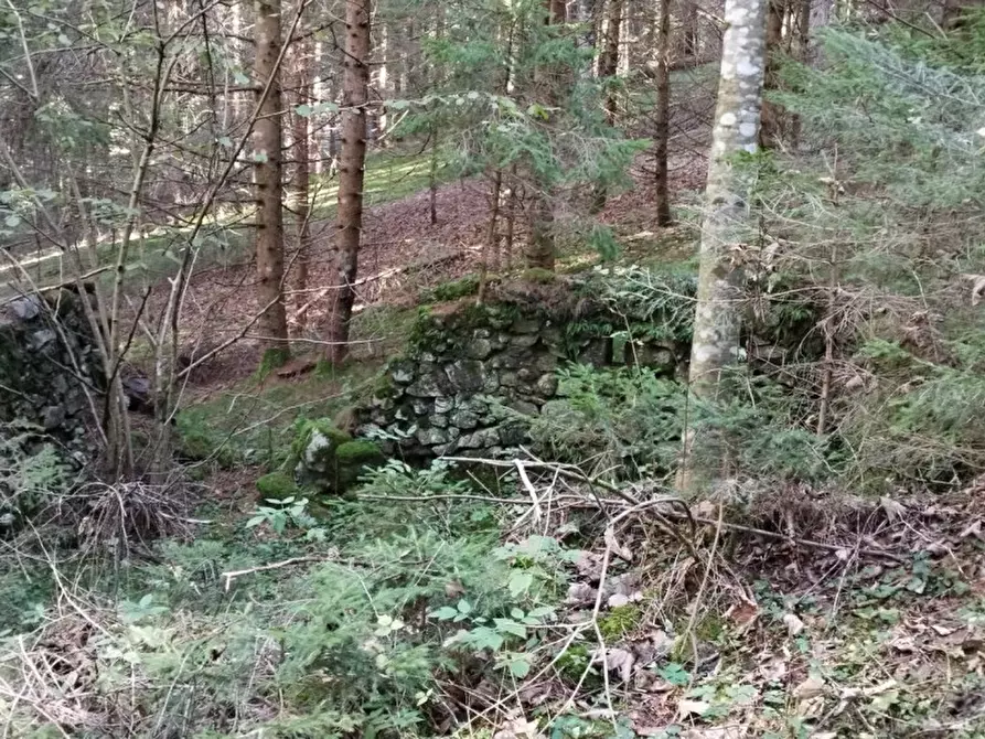 Immagine 10 di Rustico / casale in vendita  in Via Piduel a Domegge Di Cadore