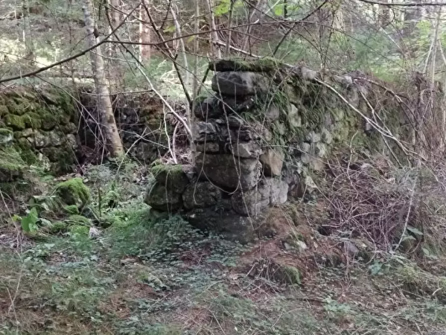Immagine 11 di Rustico / casale in vendita  in Via Piduel a Domegge Di Cadore