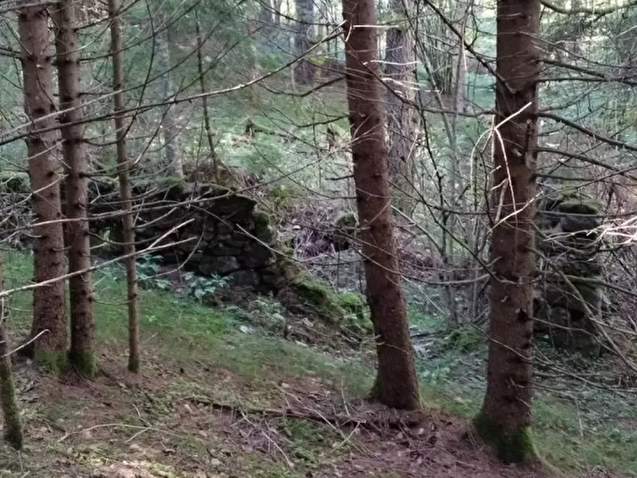 Immagine 12 di Rustico / casale in vendita  in Via Piduel a Domegge Di Cadore
