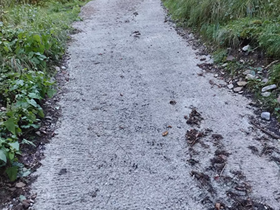 Immagine 13 di Rustico / casale in vendita  in Via Piduel a Domegge Di Cadore