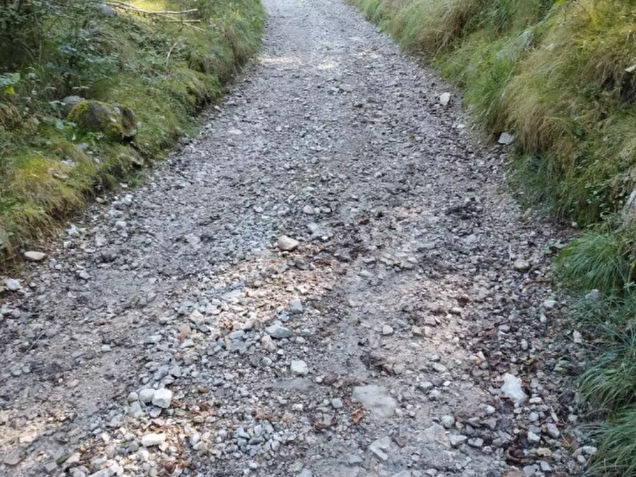 Immagine 14 di Rustico / casale in vendita  in Via Piduel a Domegge Di Cadore