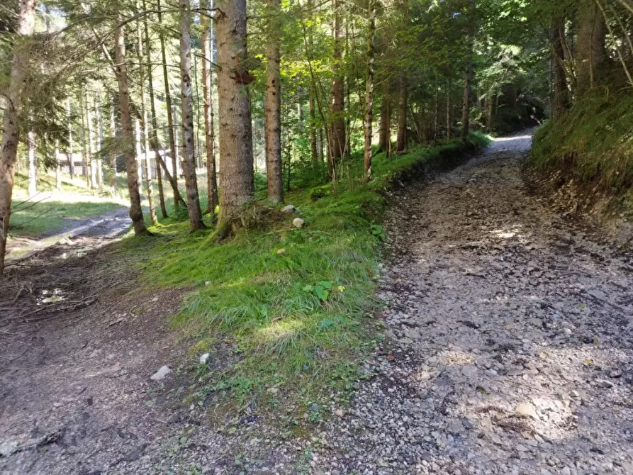 Immagine 15 di Rustico / casale in vendita  in Via Piduel a Domegge Di Cadore