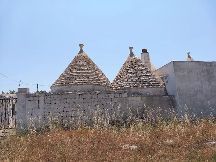 Immagine 4 di Rustico / casale in vendita  in C.da Ferrari a Martina Franca