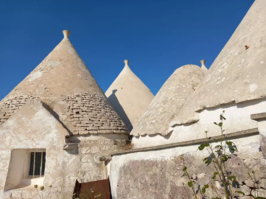 Immagine 27 di Rustico / casale in vendita  in C.da Ferrari a Martina Franca