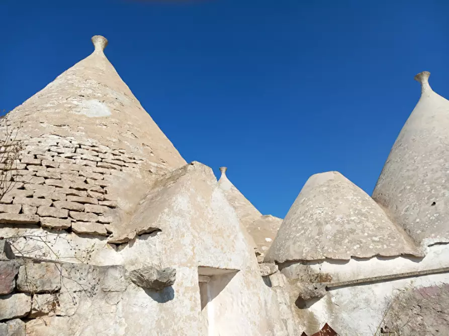 Immagine 29 di Rustico / casale in vendita  in C.da Ferrari a Martina Franca