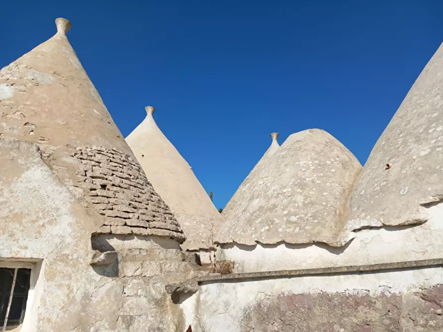 Immagine 31 di Rustico / casale in vendita  in C.da Ferrari a Martina Franca