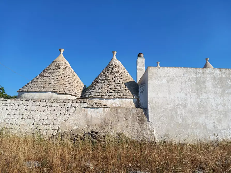 Immagine 38 di Rustico / casale in vendita  in C.da Ferrari a Martina Franca