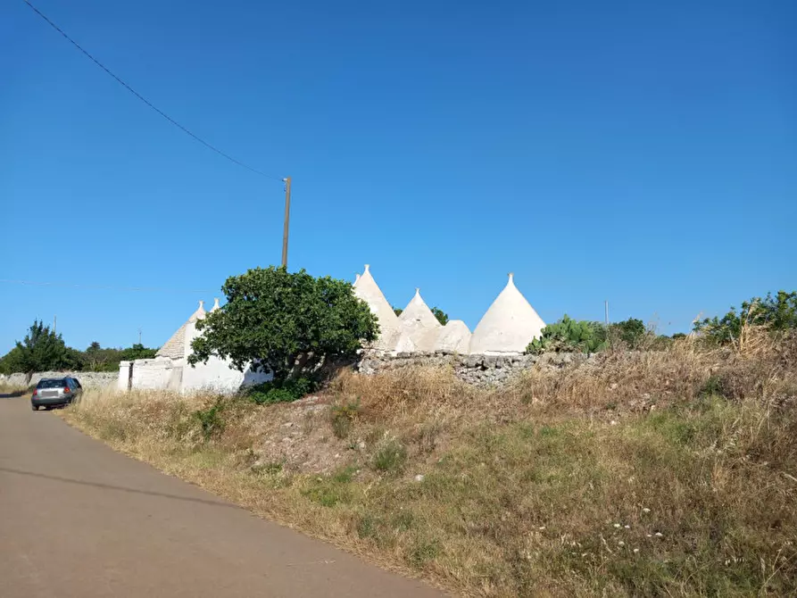 Immagine 39 di Rustico / casale in vendita  in C.da Ferrari a Martina Franca