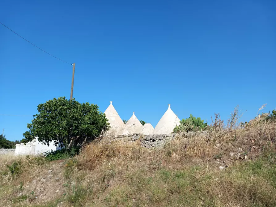 Immagine 40 di Rustico / casale in vendita  in C.da Ferrari a Martina Franca