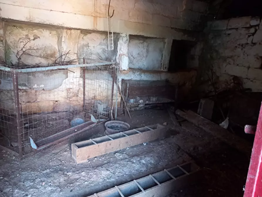 Immagine 22 di Rustico / casale in vendita  in C.da Ferrari a Martina Franca