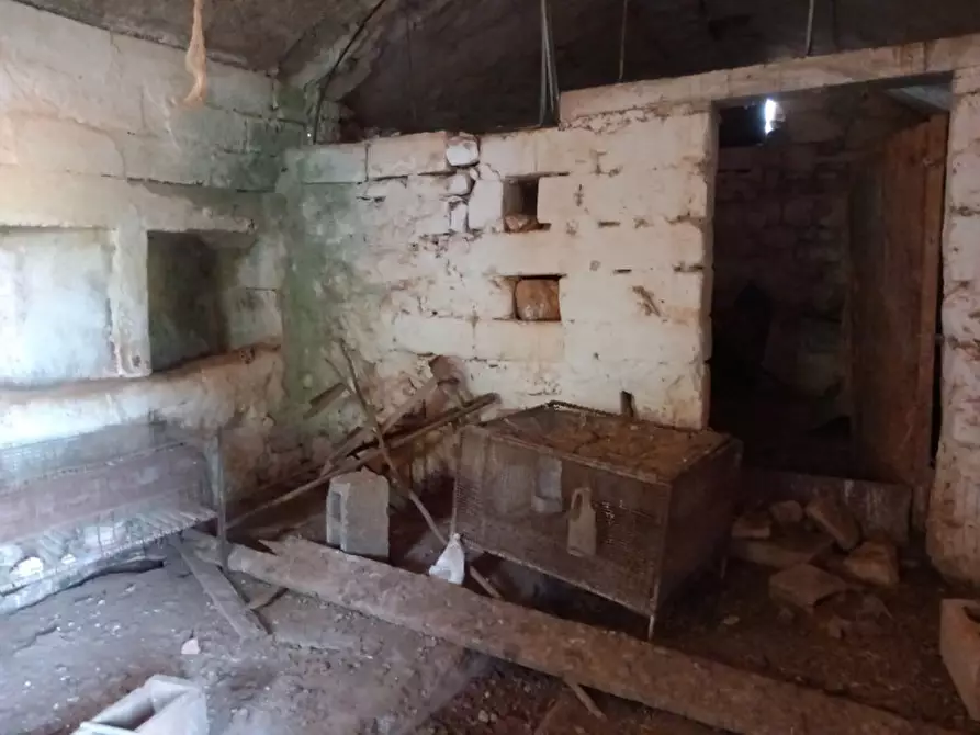 Immagine 23 di Rustico / casale in vendita  in C.da Ferrari a Martina Franca