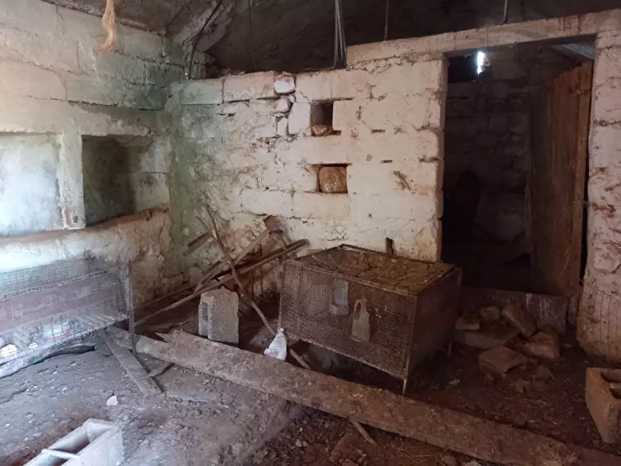 Immagine 24 di Rustico / casale in vendita  in C.da Ferrari a Martina Franca