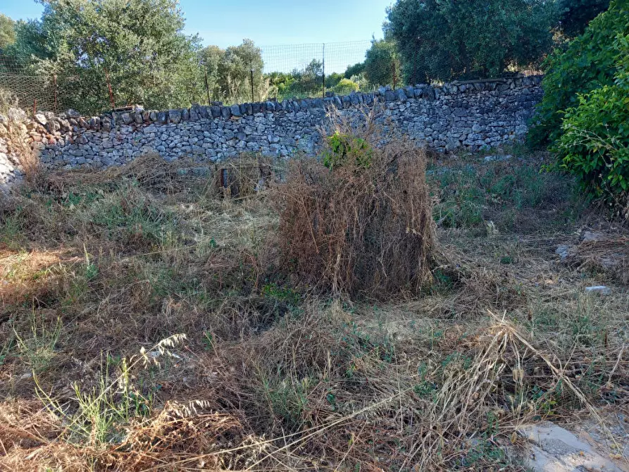 Immagine 25 di Rustico / casale in vendita  in C.da Ferrari a Martina Franca