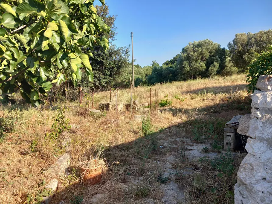 Immagine 26 di Rustico / casale in vendita  in C.da Ferrari a Martina Franca