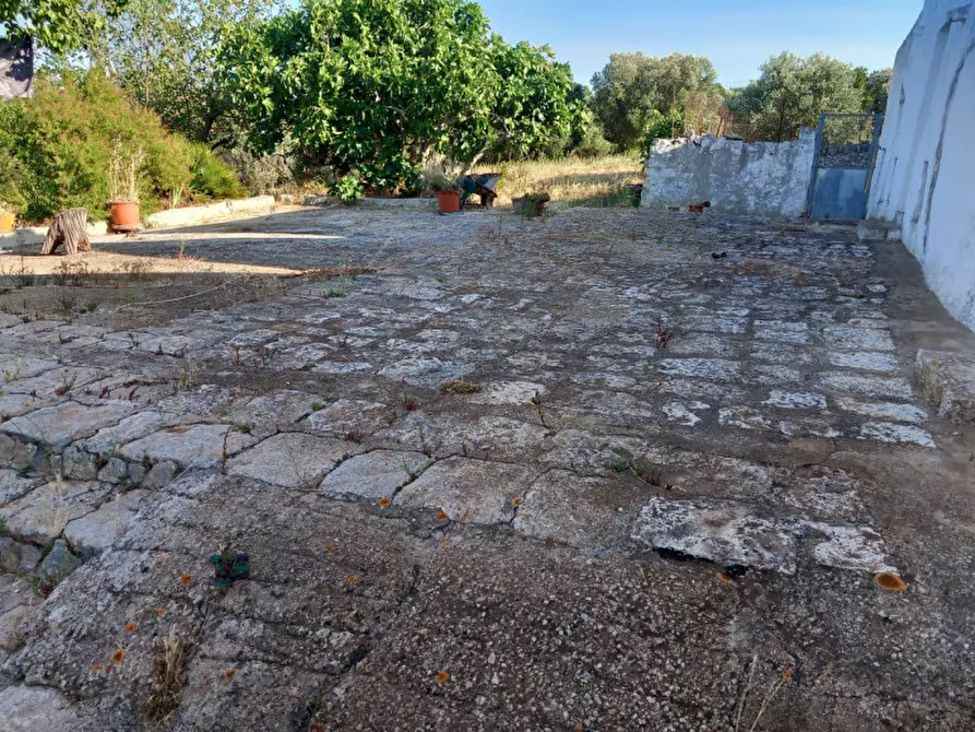 Immagine 34 di Rustico / casale in vendita  in C.da Ferrari a Martina Franca
