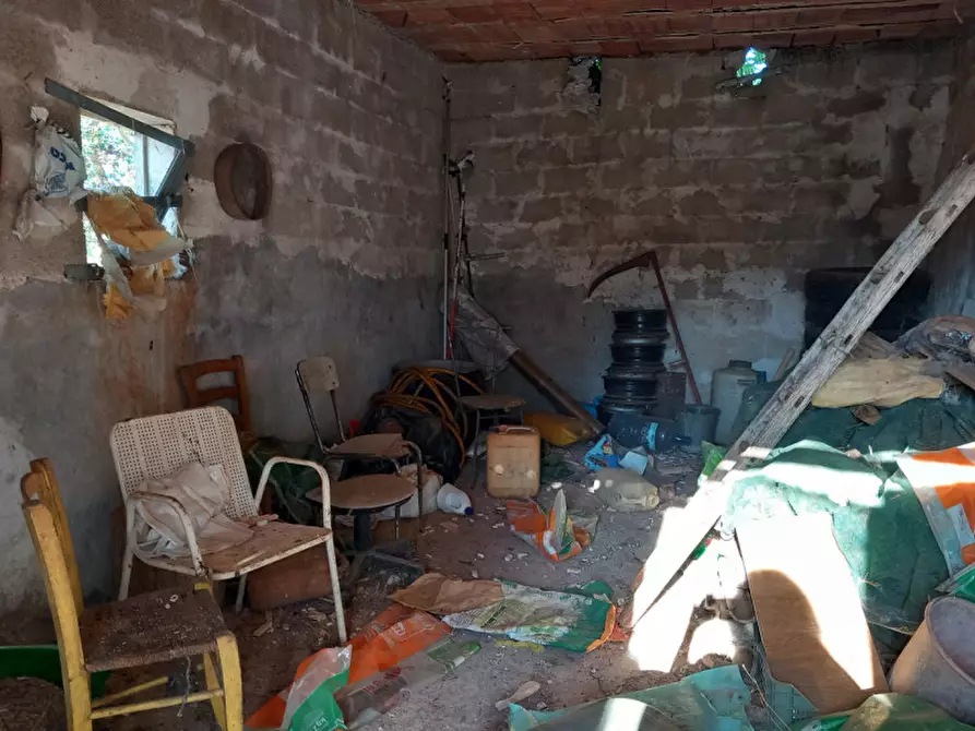 Immagine 35 di Rustico / casale in vendita  in C.da Ferrari a Martina Franca