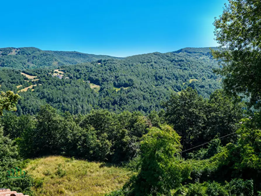 Immagine 83 di Casa bifamiliare in vendita  in Via Castel dell'Alpi a San Benedetto Val Di Sambro