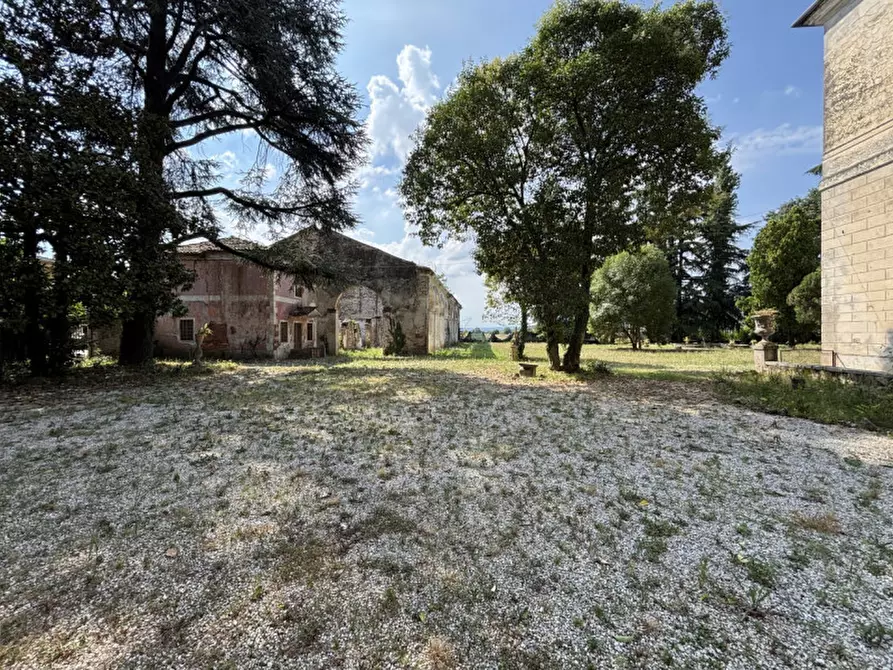 Immagine 7 di Villa in vendita  in Via Pasini a Isola Vicentina