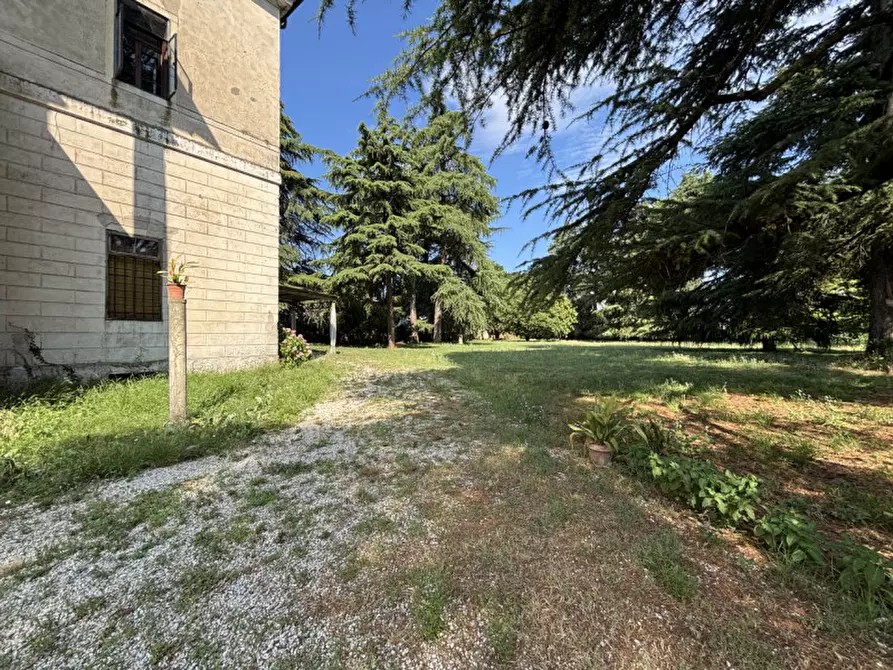 Immagine 8 di Villa in vendita  in Via Pasini a Isola Vicentina