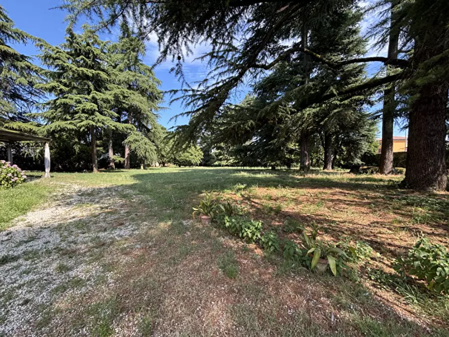 Immagine 9 di Villa in vendita  in Via Pasini a Isola Vicentina