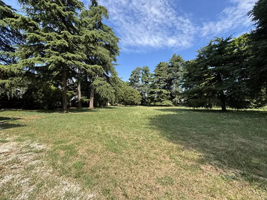 Immagine 11 di Villa in vendita  in Via Pasini a Isola Vicentina