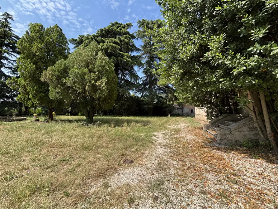 Immagine 14 di Villa in vendita  in Via Pasini a Isola Vicentina