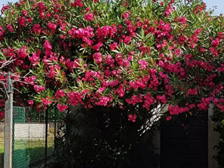 Immagine 20 di Casa bifamiliare in vendita  in via risorgimento a Caldogno