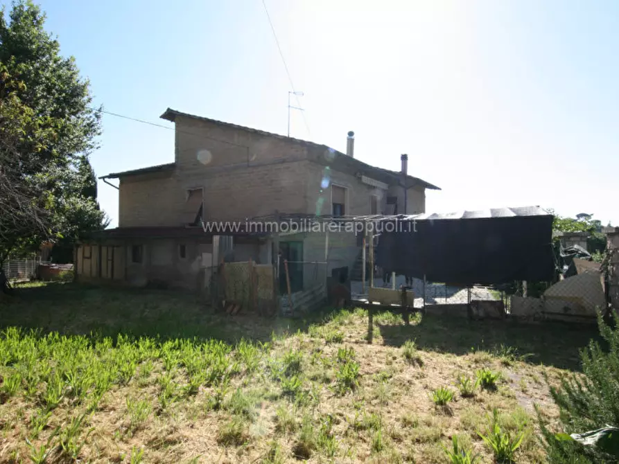 Immagine 7 di Casa indipendente in vendita  a Torrita Di Siena