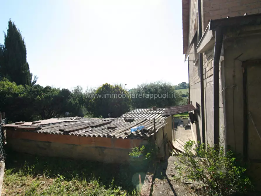 Immagine 8 di Casa indipendente in vendita  a Torrita Di Siena