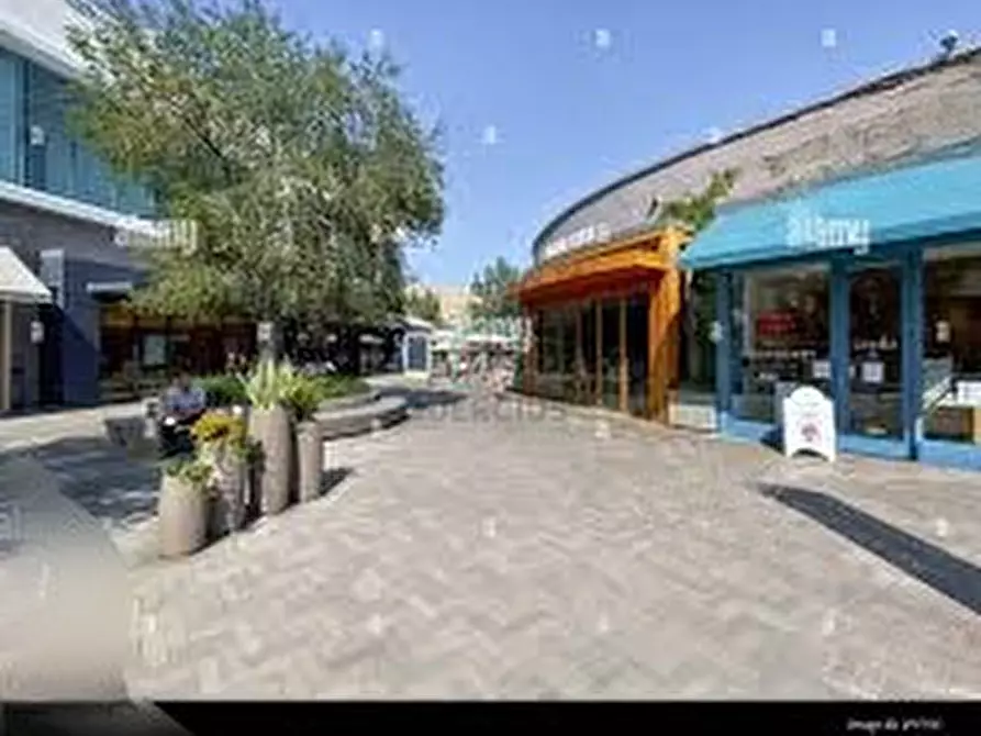 Immagine 2 di Capannone industriale in vendita  a San Bonifacio