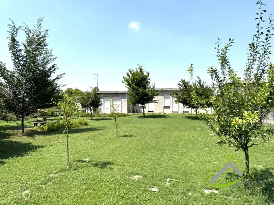 Immagine 3 di Casa indipendente in vendita  in via botte a Fiesso D'artico