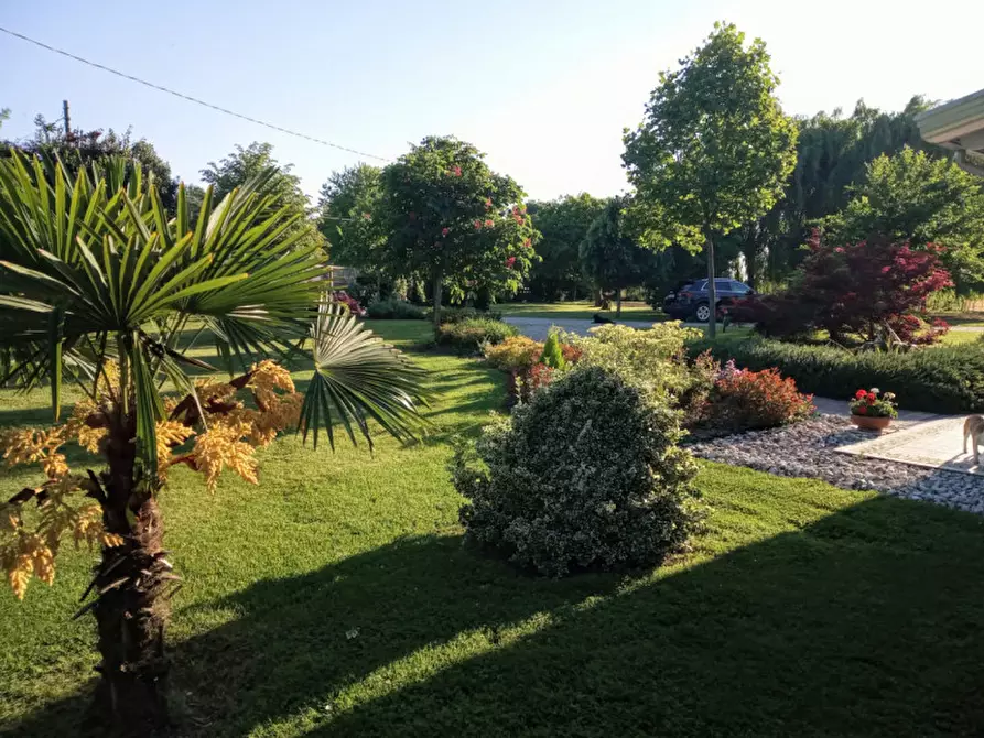 Immagine 16 di Villa in vendita  in VIA FRAPIERO a Correzzola