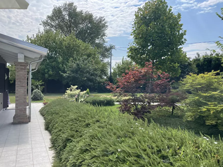 Immagine 20 di Villa in vendita  in VIA FRAPIERO a Correzzola