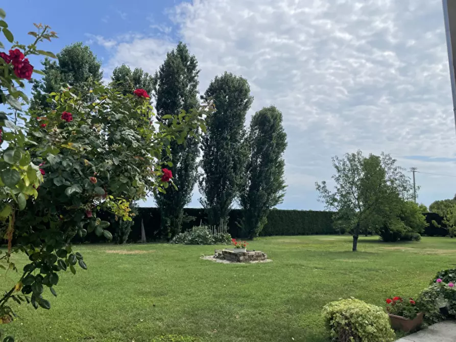 Immagine 23 di Villa in vendita  in VIA FRAPIERO a Correzzola