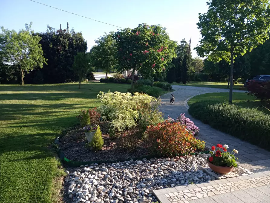 Immagine 26 di Villa in vendita  in VIA FRAPIERO a Correzzola