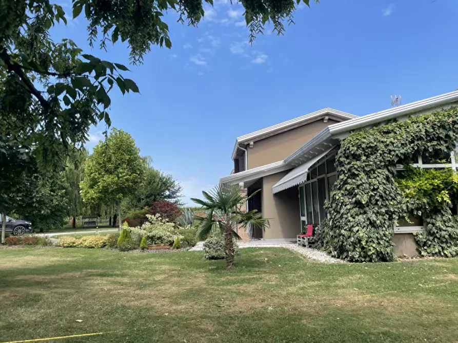 Immagine 28 di Villa in vendita  in VIA FRAPIERO a Correzzola