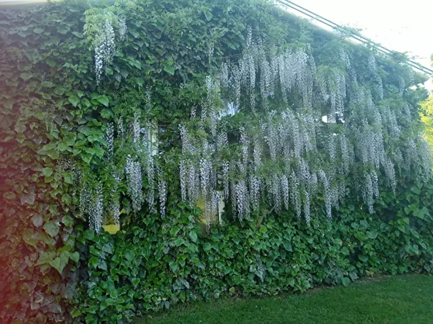 Immagine 30 di Villa in vendita  in VIA FRAPIERO a Correzzola