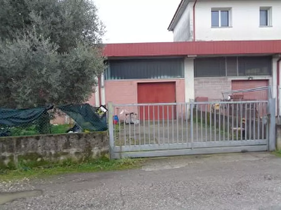 Immagine 1 di Capannone industriale in vendita  in Via Isacco Newton, 38 a Villorba