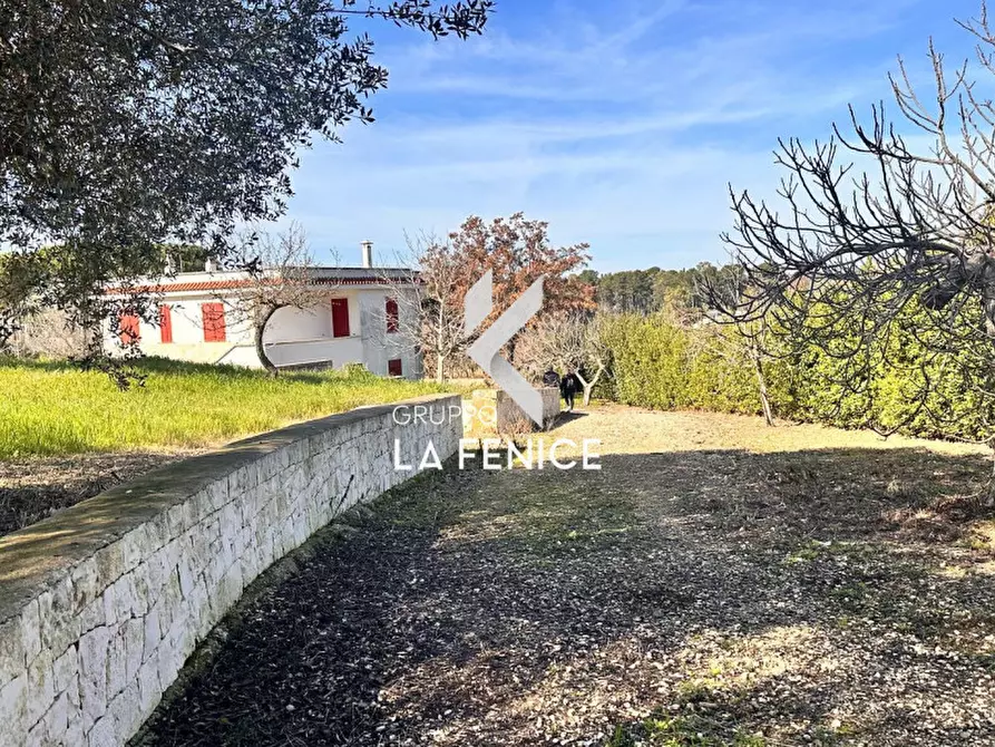 Immagine 4 di Villa in vendita  in c.da serralta a Locorotondo