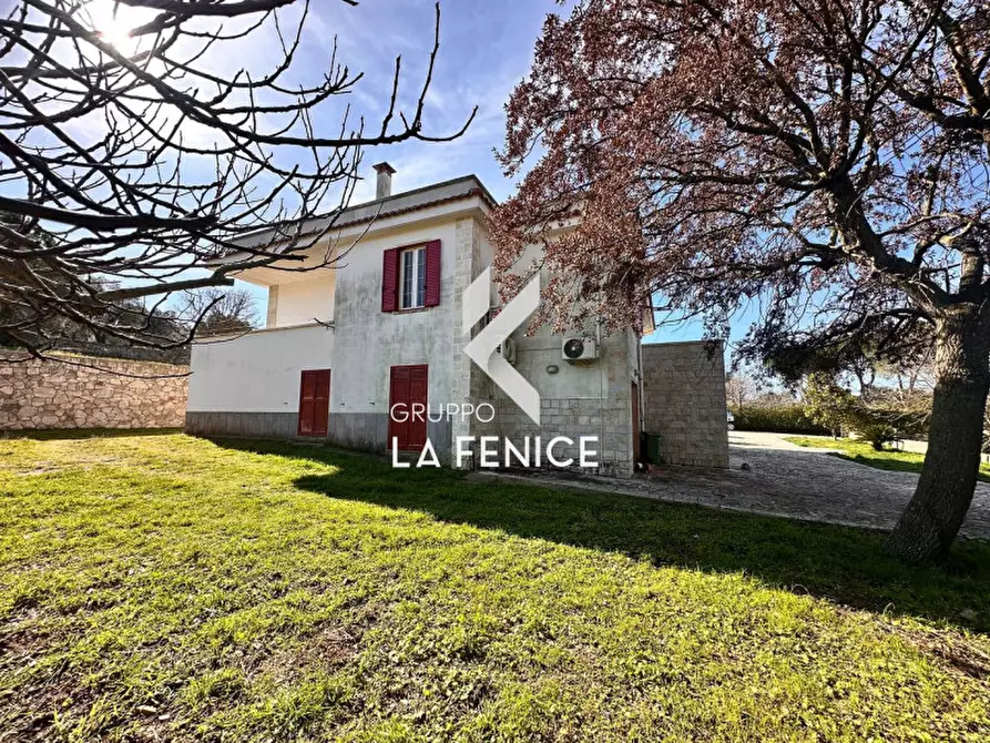 Immagine 9 di Villa in vendita  in c.da serralta a Locorotondo