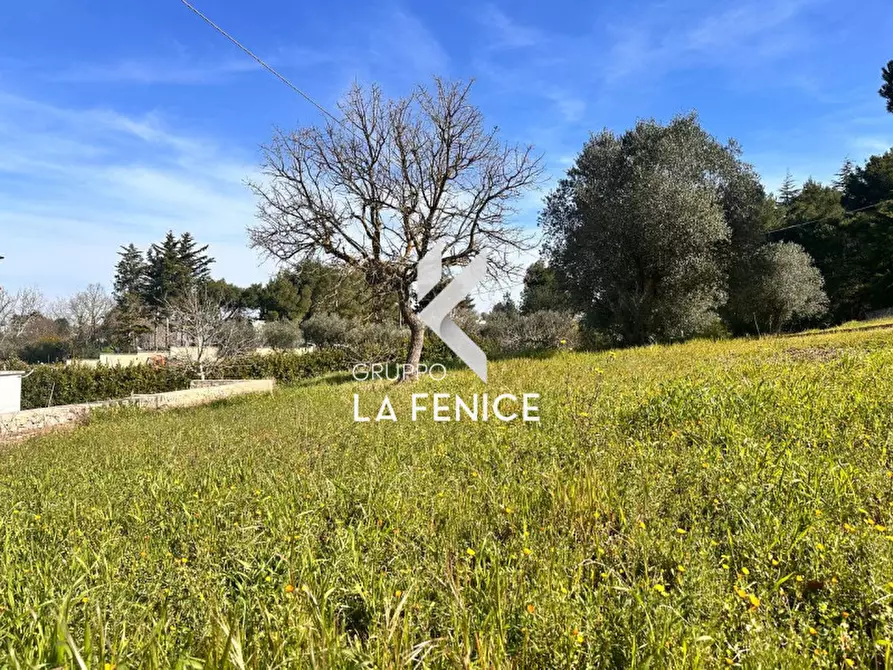 Immagine 11 di Villa in vendita  in c.da serralta a Locorotondo