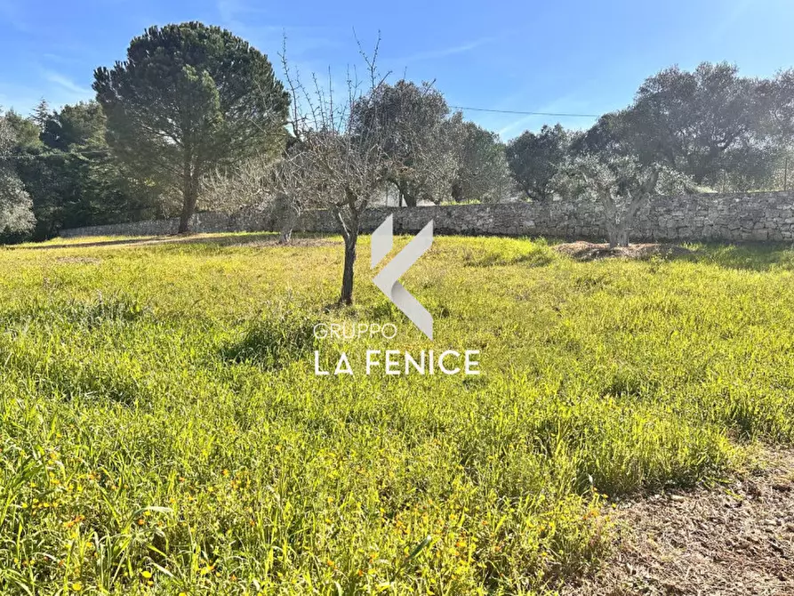 Immagine 12 di Villa in vendita  in c.da serralta a Locorotondo