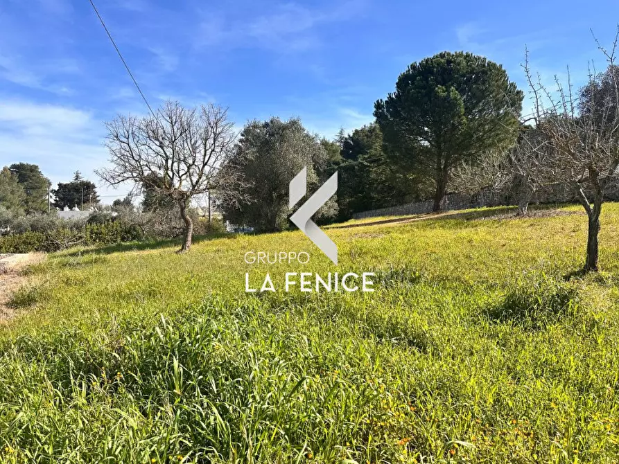 Immagine 14 di Villa in vendita  in c.da serralta a Locorotondo