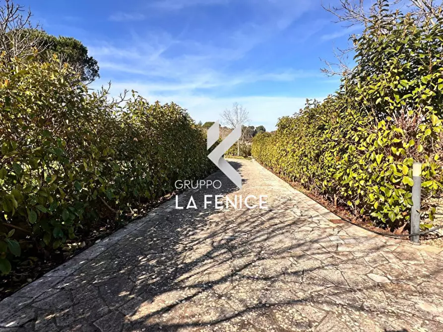 Immagine 15 di Villa in vendita  in c.da serralta a Locorotondo